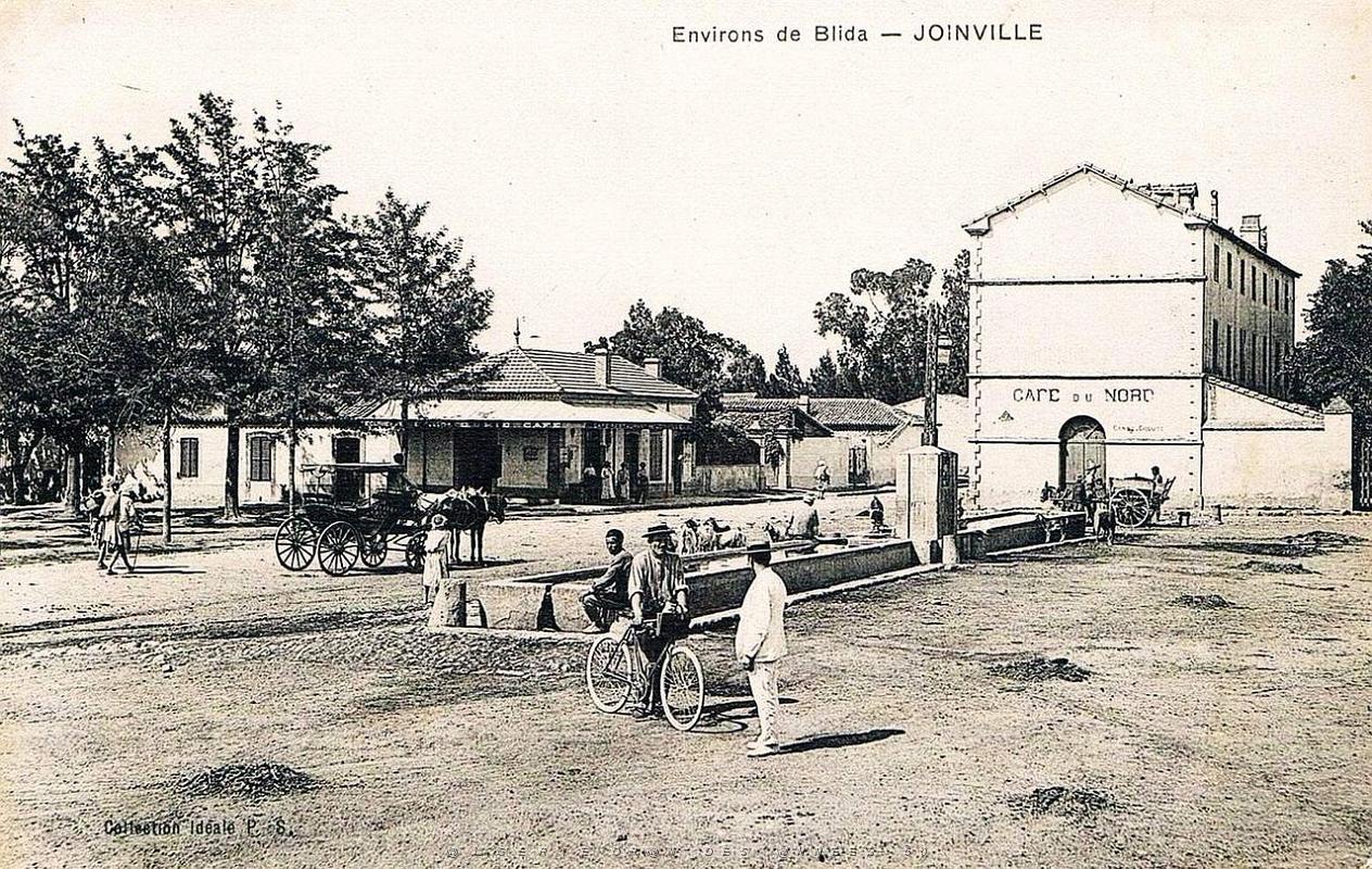 222- Joinville - Environs de Blida.JPG